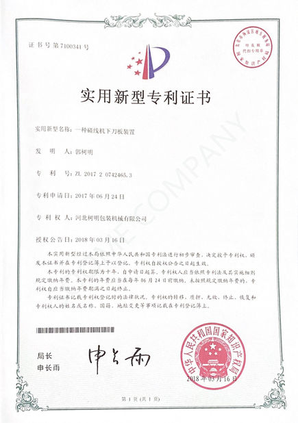 China HEBEI SOOME PACKAGING MACHINERY CO.,LTD zertifizierungen